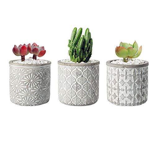 T4U 10.5CM Macetas para Cactus de Cemento con Plato de Bambú Paquete de 3, Maceteros Pequeños para Suculento Plantas Casa y Jardin Boda Decorativos Interior