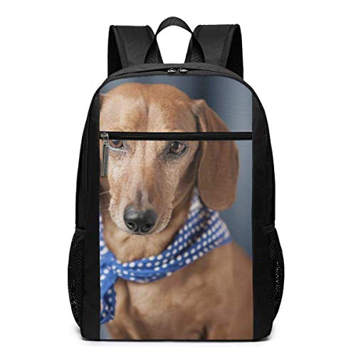 ZYWL The Pet Miniature Dachshund Mochila, Mochila para computadora portátil Duradera de Negocios, Resistente al Agua Bolsa para computadora de la Escuela universitaria Regalos para Hombres y Mujeres,