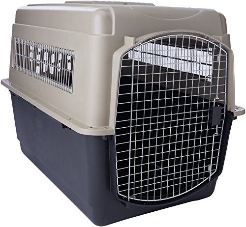 Petmate 21564 Transportín Vari Kennel Ultra 40, 102 x 69 x 77 cm