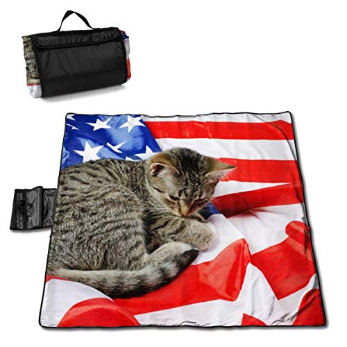 chenguang4422 Beach Blanket American Cat Dragon Li Sand Proof Picnic Blanket Camping Large Waterproof Mat Travel Tote Bag