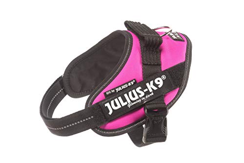 Julius-K9 16IDC - Power Harness