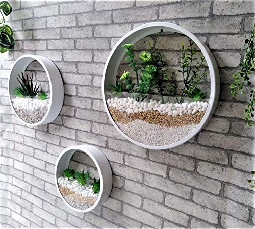 Ecosides Macetas Colgantes Pared Modernas,Ronda Metal Maceta para Flores con Soporte Extraíble para Sala de Estar,Balcón,Jardín Montaje de Pared Macetero Plantador con Orificio de Drenaje