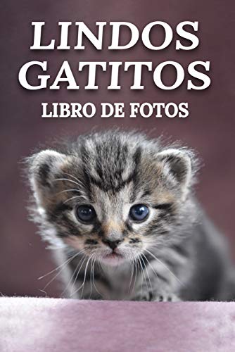 Lindos Gatitos - Libro de Fotos: Alegre Libro de Ilustraciones Para Ancianos con Demencia o Alzheimer, Ayuda para Mayores Personas