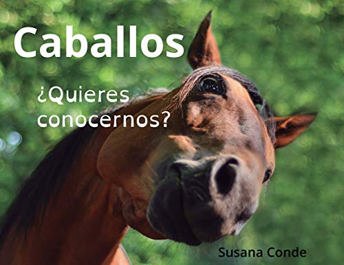 Caballos: ¿Quieres conocernos?