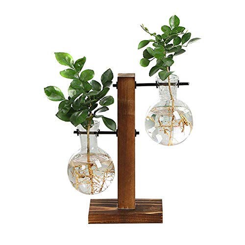 Reuvv Planta Terrario Transparente Hidropónico Planta Jarrón Vidrio Macetero Transparente Madera Retro Madera Marco para Jardín Hogar Boda Habitación Decoración - con