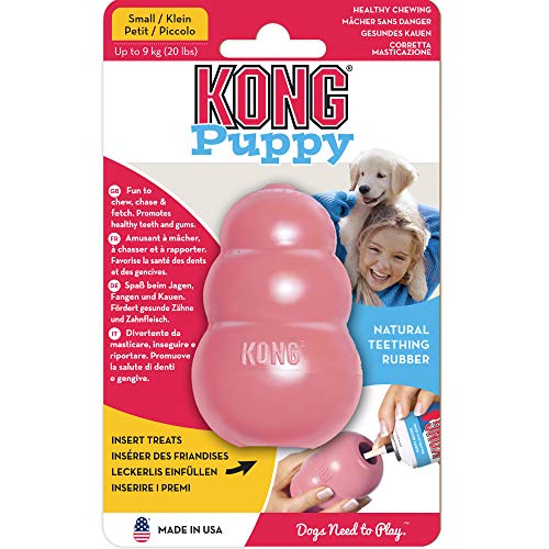 KONG - Puppy - Juguete de Caucho Natural para dentición (Colores Pueden Variar) - para Cachorros Pequeños