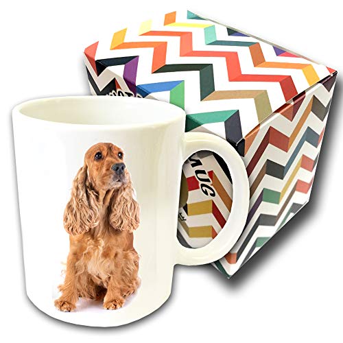 Razas De Perros. Cocker Spaniel Inglés- Solo Taza