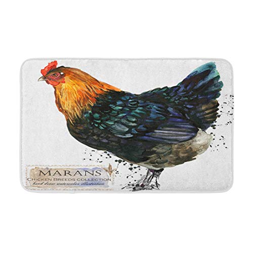 Alfombra de baño Marans Gallina Avicultura Serie de Razas de Pollos Granja doméstica Pájaro Waterr Pintura Acogedora decoración de baño Alfombra de baño con Respaldo Antideslizante