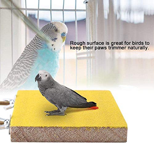 FTVOGUE Pájaro Perca Soporte Naturaleza Madera Plataforma Juguete Zona de Juegos Pata Molienda Limpia para Mascotas Loro Hamster Ardilla(02)