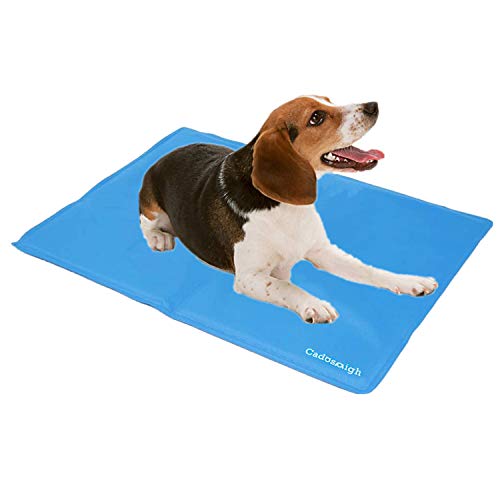 Cadosoigh Alfombra de Refrigeración Animales Nevera y Manta para Perro Fresco Cojín Azul Nevera Techo Camas de Suelo Couch Zwinger Auto(90 * 50 CM)