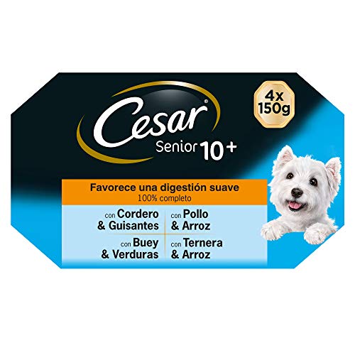Cesar Multipack de Tarrinas de Comida Húmeda para Perros Senior, Selección Carnes Mixtas (Pack de 6 x 4 tarrinas x 150g)