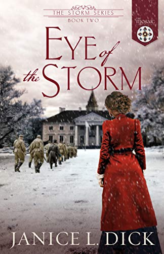 Eye of the Storm (The Storm Series Book 2) (English Edition)