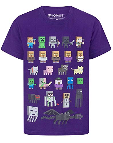 Minecraft Oficial Sprites Boy – Camiseta de Manga Corta para Mujer Morado Morado 13-14 Años