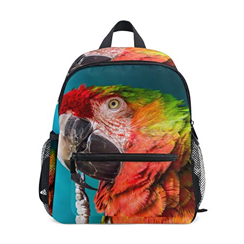 Mochila pequeña para colegio, guacamayo, loro, puja, periquito, para niñas, niños, mini mochila de viaje, primaria, preescolar, estudiante