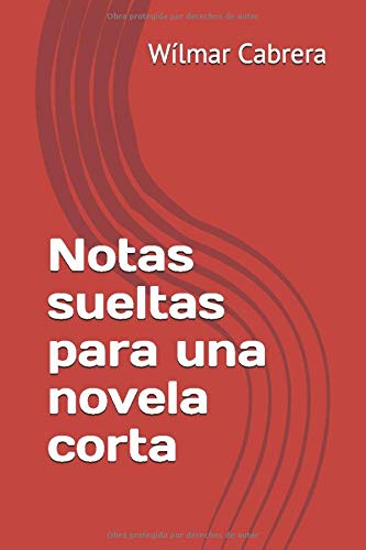 Notas sueltas para una novela corta