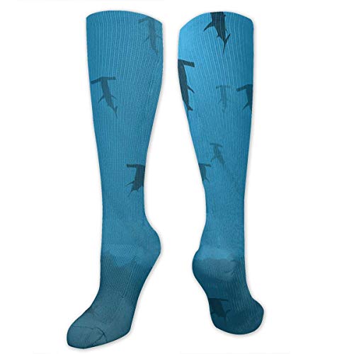 ouyjian Big Tall Casual Sports Socks for Men Hammerhead Shark Blue Fish Unisex Non Slip Boot Socks Long Media Women Training