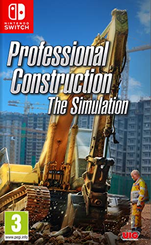 Professional Construction: The Simulation