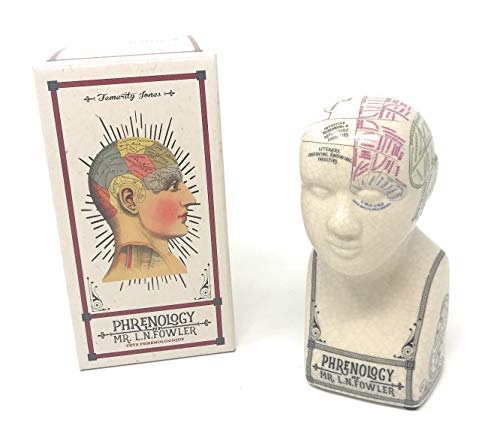 Small Crackle Phrenology Head (6/12)