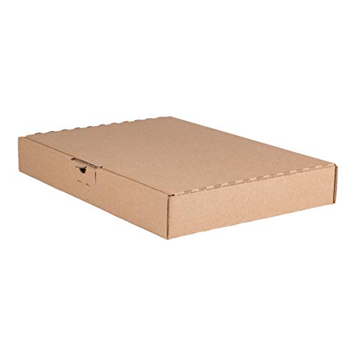 25 cajas grandes de 350 x 250 x 50 mm, DIN A4 B4, cantidad a elegir, 25 – 2800 unidades