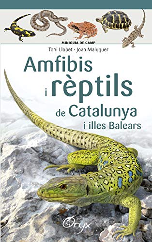 Amfibis I Rèptils De Catalunya I Illes Balears (Miniguia de camp)