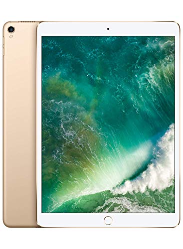 Apple iPad Pro (12,9 pulgadas y 256 GB con Wi-Fi) - Oro (Modelo Anterior)