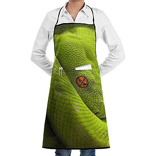 Darlene Ackerman(n) Cobra Rattle Snake Eyes Python Apron, Divertidos Delantales de Cocina con Bolsillo Kitchen Bitch Men Women 3D Print Baking Baberos