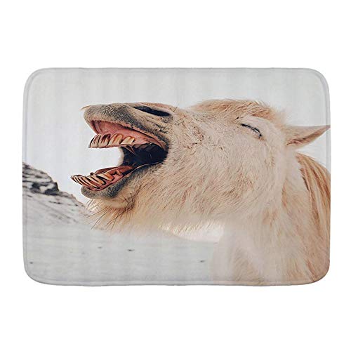 GugeABC Alfombra de baño Alfombra Antideslizante,Animal Divertido Burro Blanco asno en Invierno Nieve,Alfombras Modernas de Microfibra para baño Alfombra de baño Suave 29.5"X 17.5"