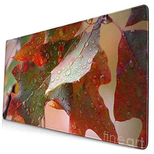 HJJL Alfombrilla de ratón Mouse Pad Non-Slip Rubber Gaming Mouse Pad,1-Colours-of-Fall-II