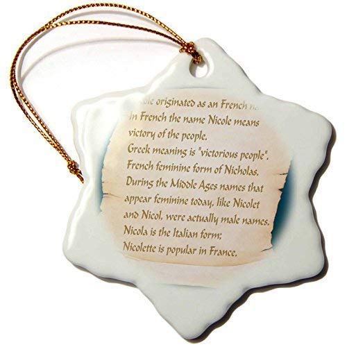 Mesllings Divertido adorno de Navidad Beverly Turner diseño de nombre – Nicole The Meaning – Adorno de porcelana de copo de nieve