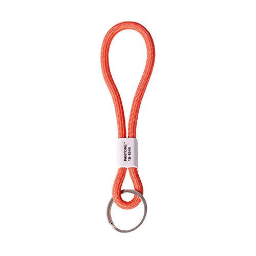 Pantone Key Chain Llavero 18 centímetros Naranja (Living Coral 16-1546) (17864)