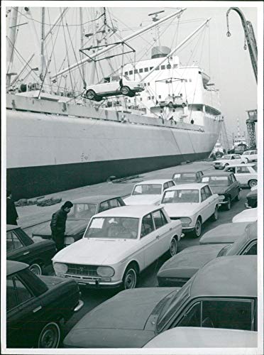 1964 Datsun Bluebirds - Vintage Press Photo