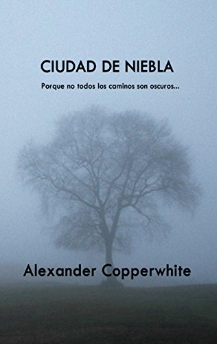 Ciudad de niebla: Un encuentro inesperado (Relato nº 4)