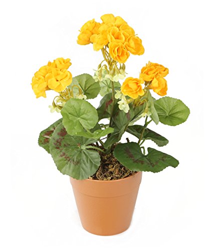 Closer To Nature HBC008YE - Geranio zonal artificial, 24 cm, color amarillo