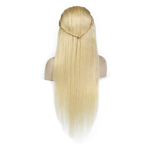 Cvthfyk Peluca Rubia Larga Peluca Recta Peluca Cosplay para Mujer (Color : White)