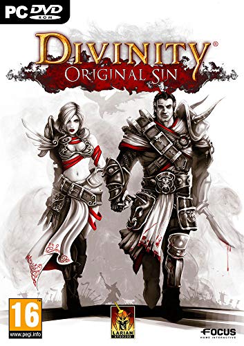 Divinity: Original Sin [Importación Francesa]