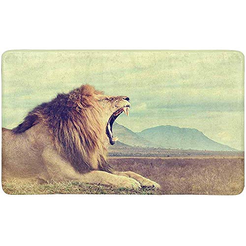 Doormat León Africano Salvaje Efecto Vintage Parque Nacional De Kenia África Alfombrilla Para Puerta 40X60Cm Alfombra De Entrada Al Aire Libre Cocina Alfombrilla Antideslizante Decoración Para E