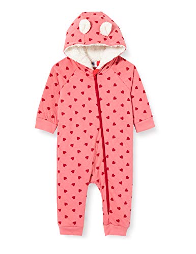 Petit Bateau 5780101 Conjunto de Ropa, Mejilla/Terkuit, 12 Meses para Bebés