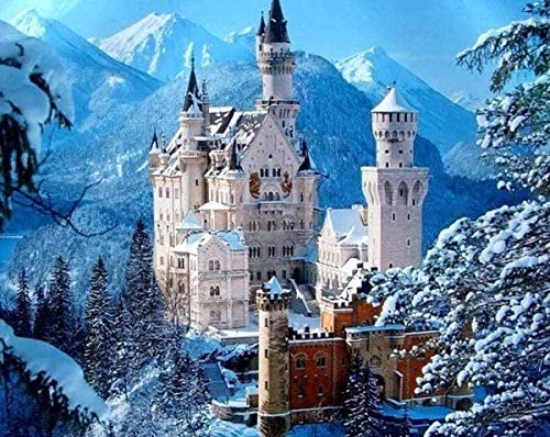 QIAOYUE Pintar por números Castillo de Neuschwanstein Adulto y niños Kit de Pintura DIY Principiante Pintura Arte Lienzo preimpreso (40X50CM) (sin Marco)