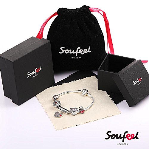 SOUFEEL Caja Especial para Proteger Collar Protección Ambiental 5 * 5 * 4cm