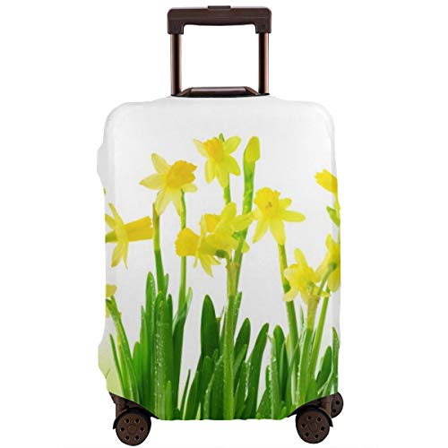 Travel Suitcase Protector,Narcissus and Daffodil Bunch April Flowers Field Seads Natural Decorating Picture Art,Suitcase Cover Washable Luggage Cover XL