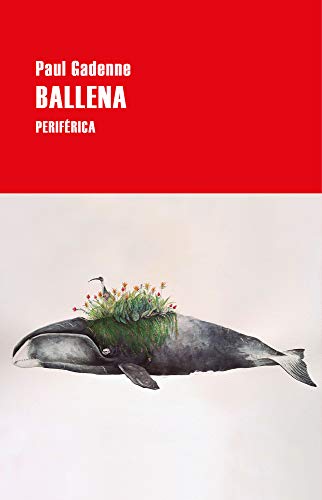 Ballena: 2 (Serie menor)