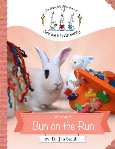 Bun on the Run (The Bunnyrific Adventures of Juni the Wonderbunny Book 2) (English Edition)