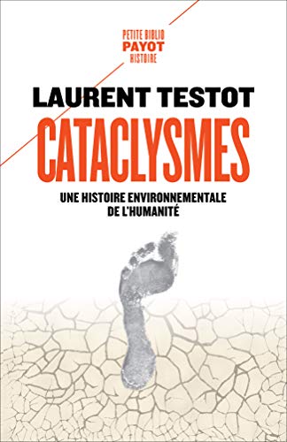 Cataclysmes: Une histoire environnementale de l'humanité (French Edition)