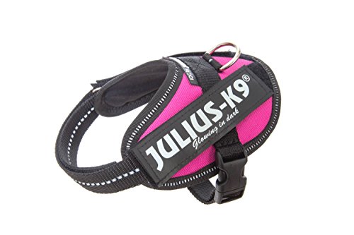 JULIUS-K9 16IDC Power Harness