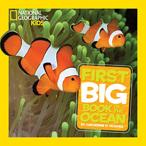 Little Kids First Big Book Of The Ocean (National Geographic Kids)