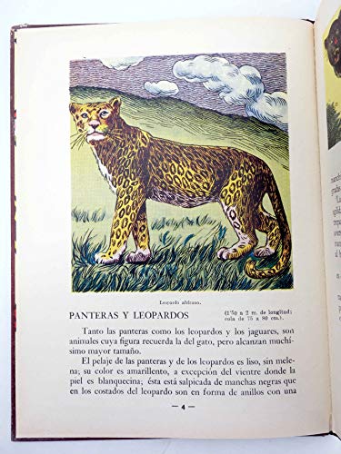 LOS ANIMALES Y SUS COSTUMBRES 1 A 6. Completa. Dalmau Carles Pla. Oferta