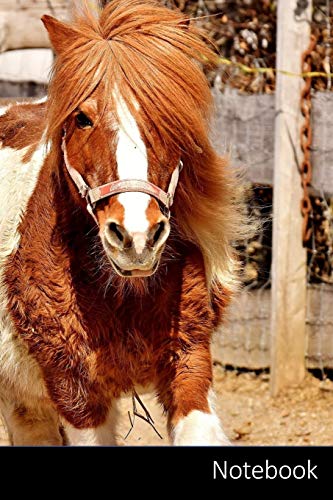 Notebook: Potro, Funcionamiento, Dulce, Caballo Pequeña Cuaderno | Diario | Libro de escritura | Notas - 6 x 9 (15.24 x 22.86 cm), 110 páginas, superficie brillante.