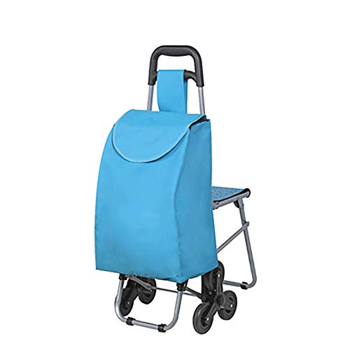 GWCUU Carrito de Compras para Subir escaleras, Carrito de Compras a la Antigua usanza, los Conductores compran Alimentos Carrito de Compras de Cuatro Ruedas, Acero Inoxidable + Tela Oxford, Unisex