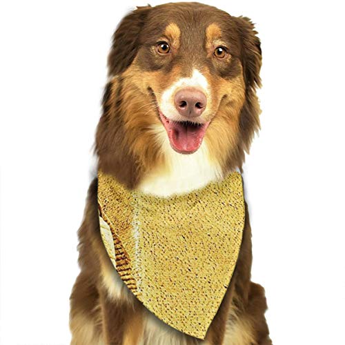 RAHJK Bandana para Perro, Pañuelos para Perro, Reversibles, Ajustables, Triangulares, Bufandas para Mascotas y Gatos Egipto Egipcio esfinge pirámides