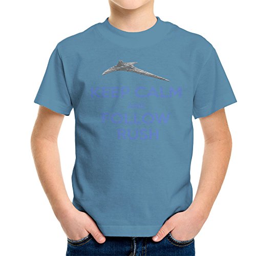 Stargate Universe Keep Calm and Follow Rush Destiny Kid's T-Shirt